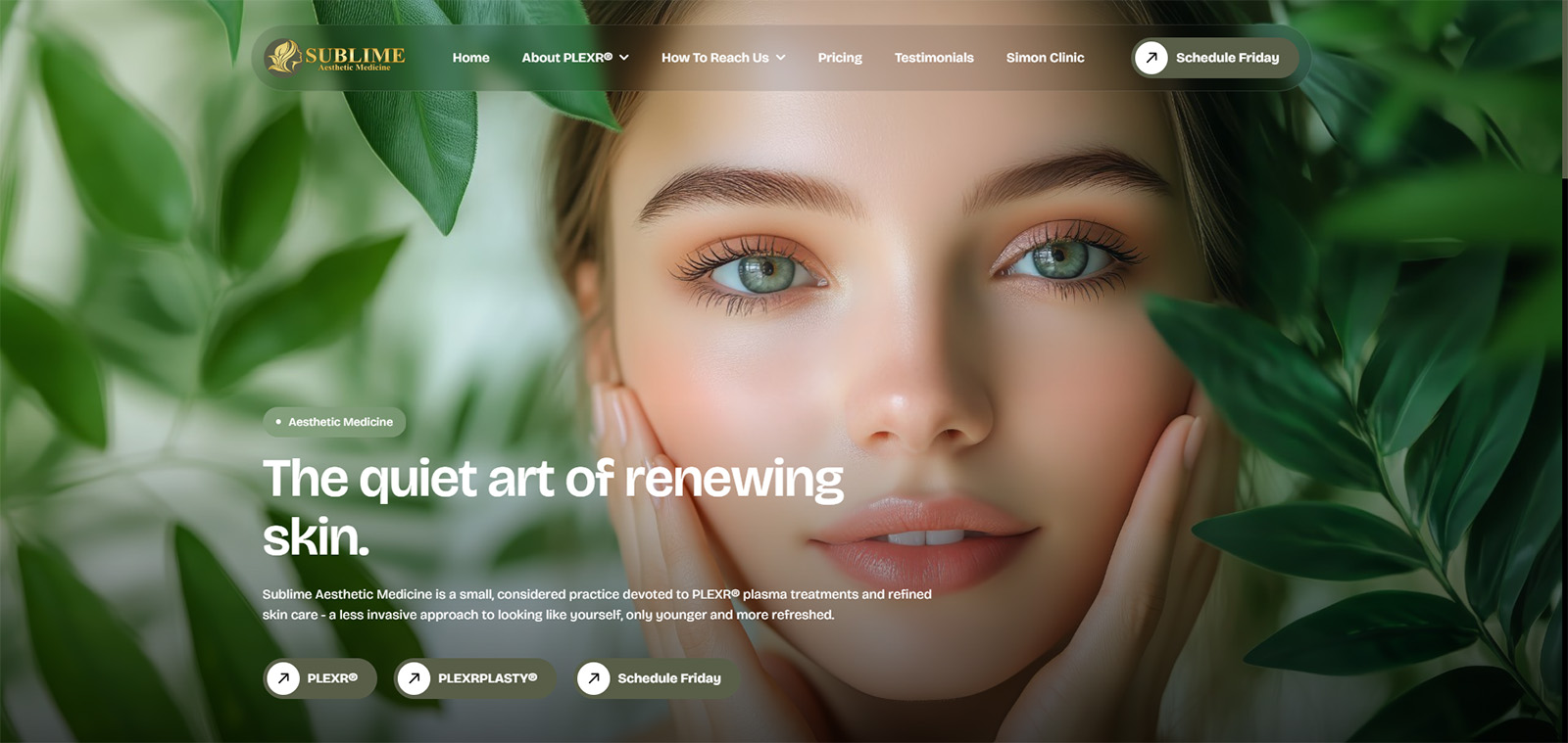 Screenshot of project